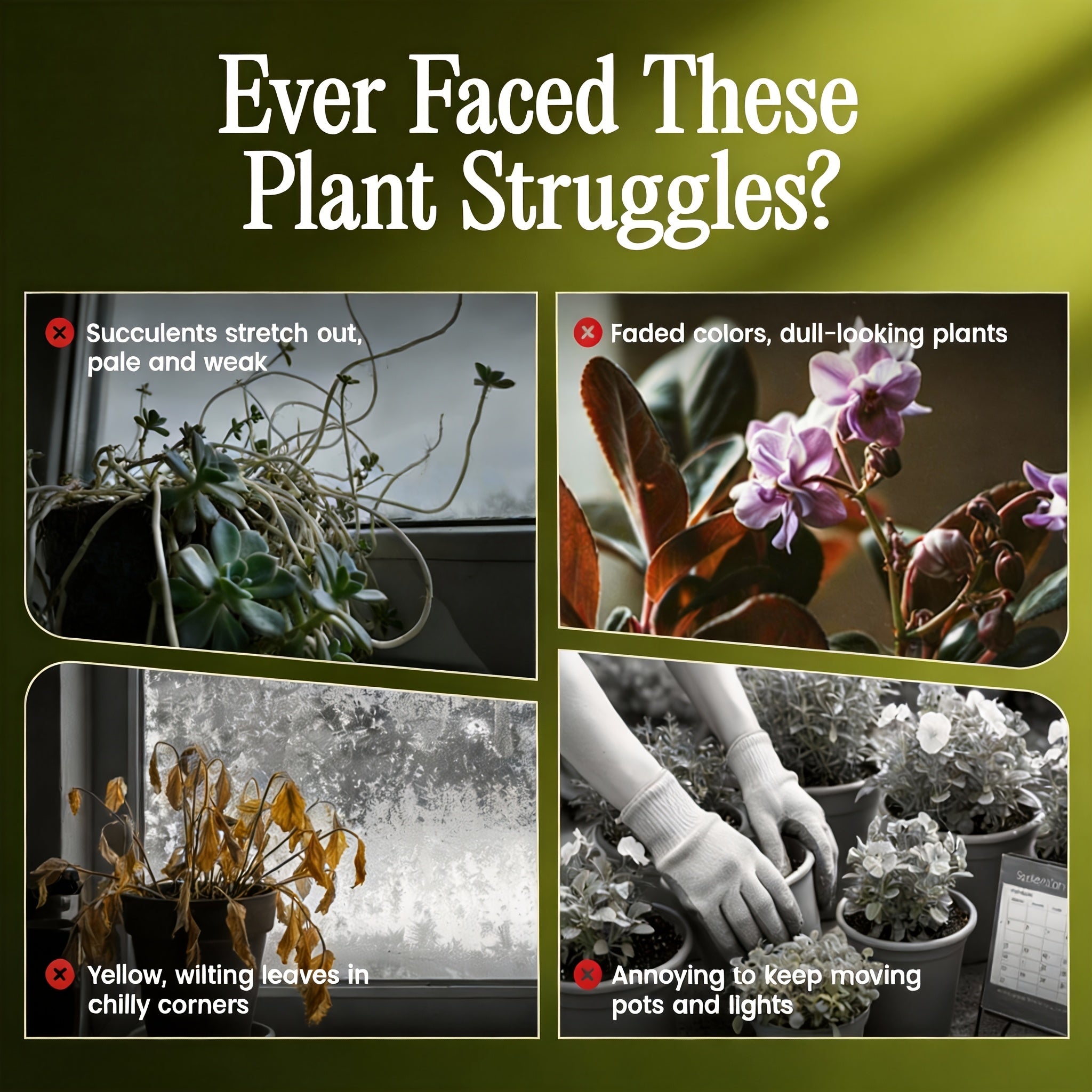 7\u002F5\u002F4\u002F3-Tier Indoor Plant Stand, 63\u002F62\u002F55\u002F36In High Metal Flower Shelf Corner Display Rack, Multi-Layer Plant Holder for Living Room Bedroom Balcony, Gift for Plant Lovers